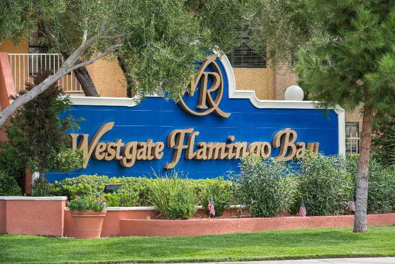 Westgate Flamingo Bay Resort Las Vegas Exteriör bild
