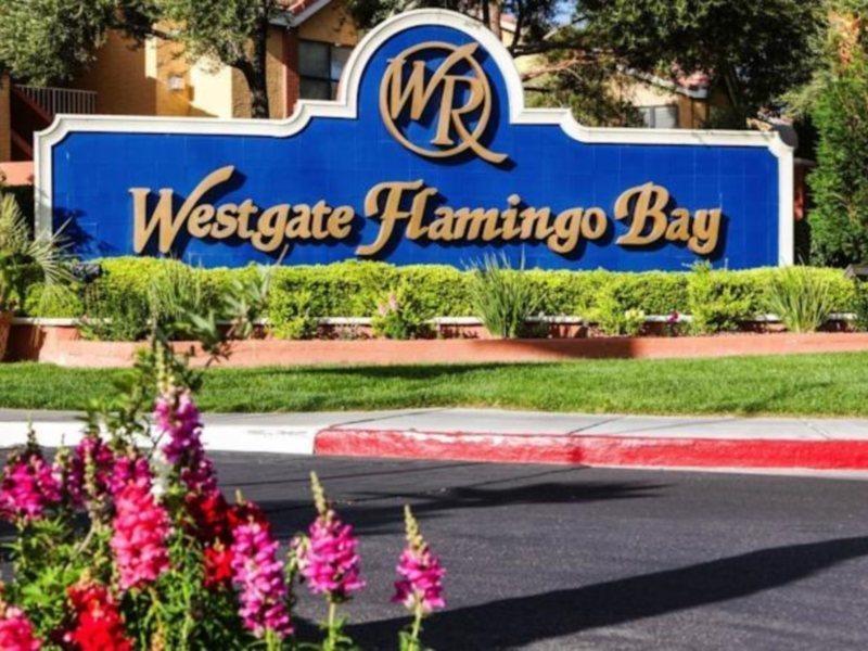 Westgate Flamingo Bay Resort Las Vegas Exteriör bild